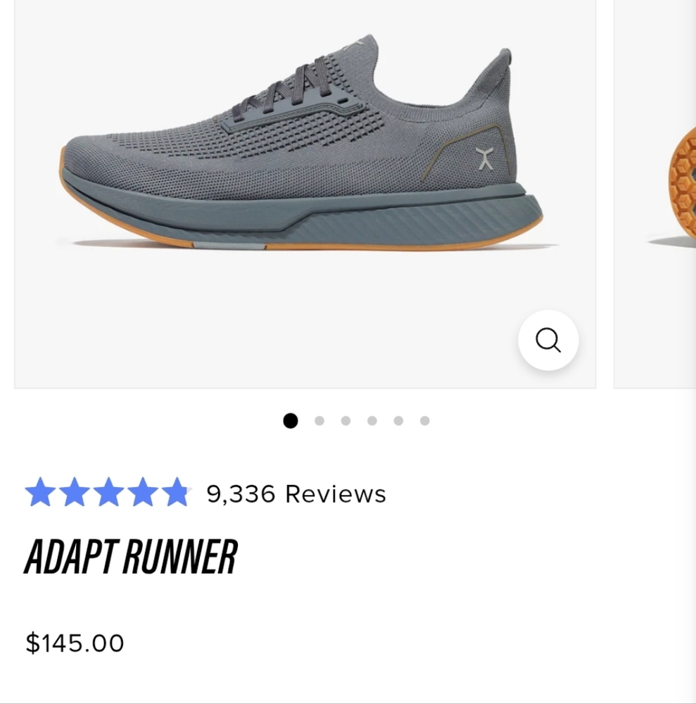 Flux Adapt Runner Gray Shoes